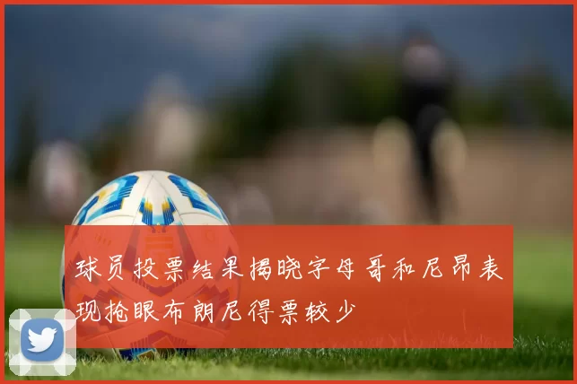 球员投票结果揭晓字母哥和尼昂表现抢眼布朗尼得票较少