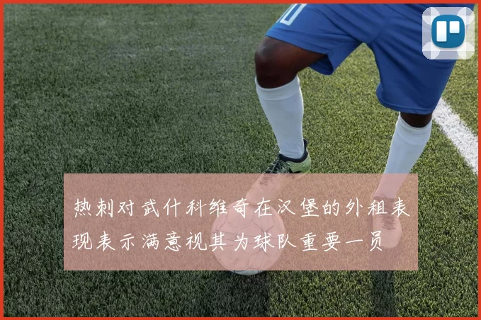 热刺对武什科维奇在汉堡的外租表现表示满意视其为球队重要一员