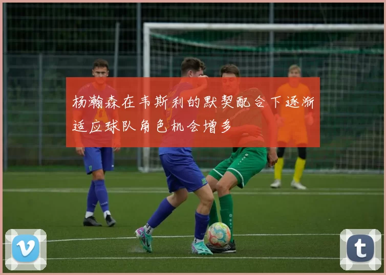杨瀚森在韦斯利的默契配合下逐渐适应球队角色机会增多